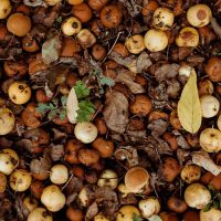 Loi « Industrie verte » : la sortie du statut de déchet, le sous-produit et le tri de biodéchets