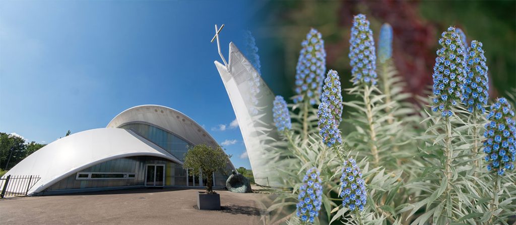 complexe religieux espèce protégée plante