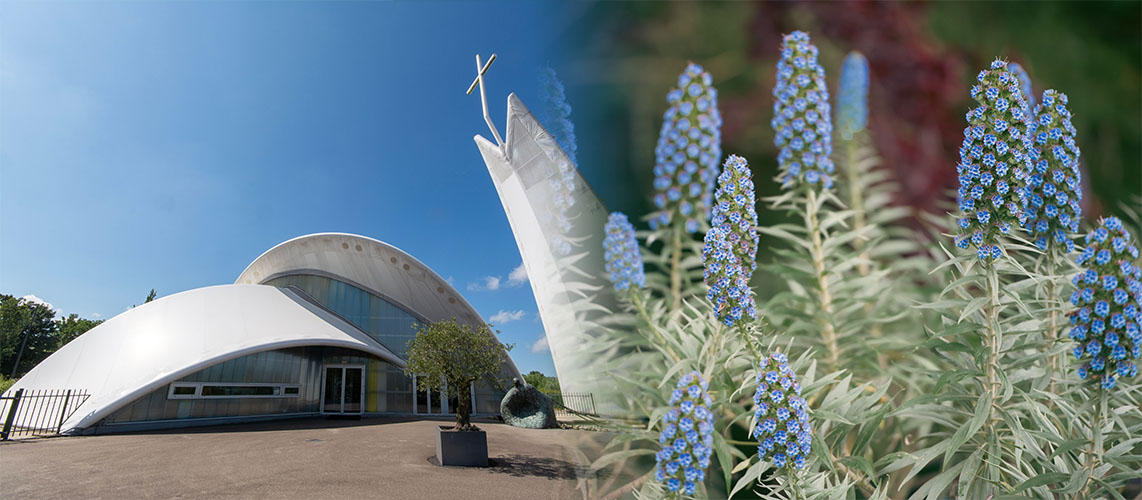 complexe religieux espèce protégée plante