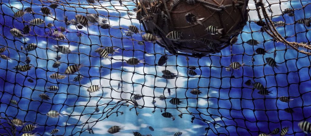 pêche en mer fonds marins