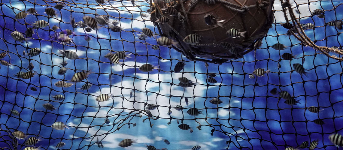 pêche en mer fonds marins