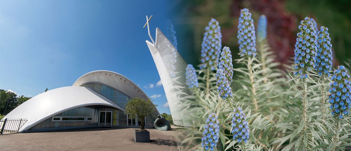 complexe religieux espèce protégée plante