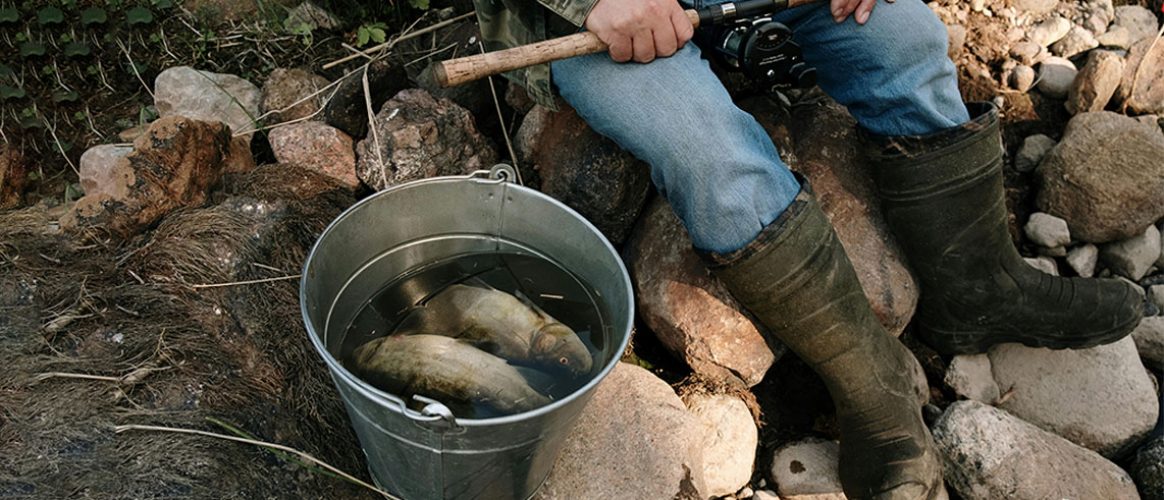 pêche en eau douce poissons sceau