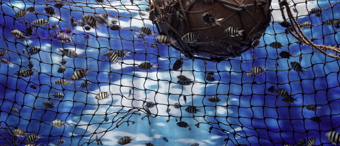 pêche en mer fonds marins